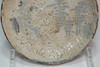  Kato Shuntai (1802-1877) Antique shino ware plate #4710