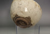 Otagaki Rengetsu (1791-1875) Antique poem carved pottery teabowl #4879