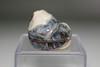 Nonomura Ninsei (1648-1690) Antique pottery incense case "raccoon dog" #4950