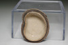 Nonomura Ninsei (1648-1690) Antique pottery incense case "raccoon dog" #4950