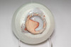 Arakawa Toyozo (1894-1985) Vintage pottery teabowl #4955