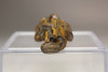 Netsuke - Antique Japanese wooden miniature carving #4992 Netsuke - Antique Japanese wooden miniature carving #4992