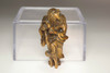 Netsuke - Antique Japanese wooden miniature carving #4992 Netsuke - Antique Japanese wooden miniature carving #4992