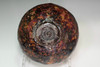 Kato Sekishun Tatsutanisiki Chawan | Antique Japanese raku pottery teabowl #5094