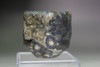 Baba Takashi (b.1983) Japanese BIZEN ware sake cup #5109