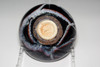 Antique Song Dynasty Tenmoku Bowl with Dynamic Glaze Flow Pattern #5198