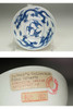 A Rare 15C Ming Chenghua Blue and White Dragon Bowl #5252