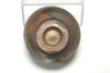 Fujiwara Yu (1932-2001) BIZEN pottery sake cup #5374