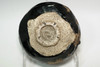 Japanese Raku Black Tea Bowl Attributed to Raku 9th Ryonyu #5362