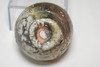 Koie Ryoji (1938-2020) Japanese SHIGARAKI pottery cup #5549