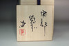 Japanese Bizen Imbe Tokuri Sake Bottle by Takenaka Kenji #5554