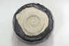 Sasaki Shoraku (b.1944) KOETSU style RAKU teabowl #5580