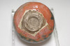Japanese Aka Raku Teabowl Small Size Attributed to Raku 7th Chonyu Tea Ceremony Chawan with Wooden Box #5603