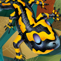 Scotch Malt Whisky Society May 2020 Outturn Overview Scotch Malt Whisky Society May 2020 Outturn Overview