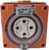 3 Phase 4 Round Pin Socket - 32Amp - RO