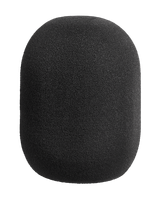 WS 87