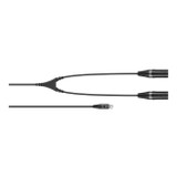 CA 6042 XLR