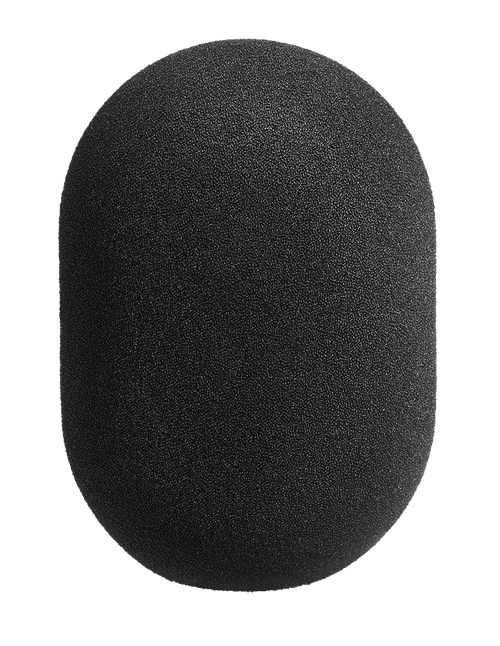 WS 89