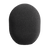 WS2