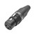 HICON XLR 3-pol honkontakt PRO+, kabel, guld