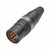 HICON XLR 5-pol hankontakt PRO+, kabel, guld
