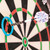 Gerwyn Price Practice Rings