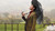 Brook Taverner - Tailored Fit Bentham Olive Check British Wool Sport Coat