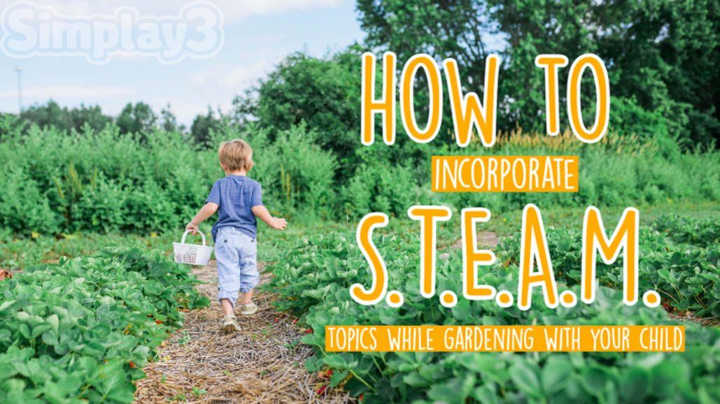 How to incorporate S.T.E.A.M. topics while gardening with your child