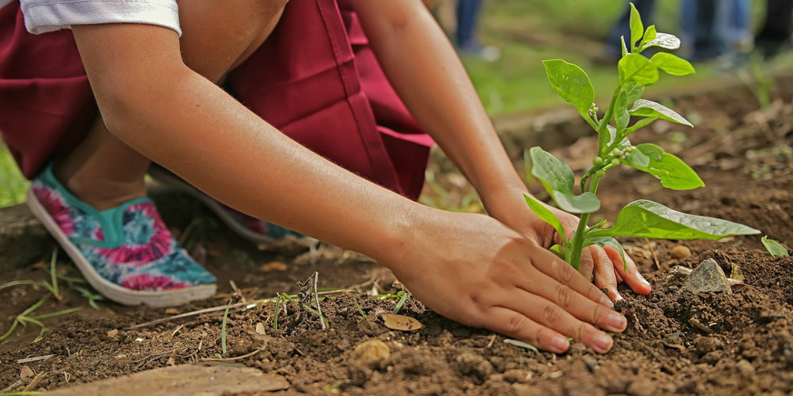 Tips for Starting Your Garden in Northeast Ohio