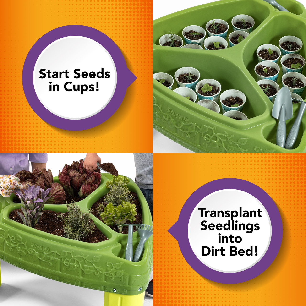 Kit de 3 plantes à semer Planète Plante - 6 cm : Jeux et jouets pour  enfants Planète plante maison - botanic®