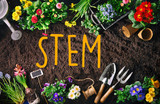 STEM - Not just part of a plant!