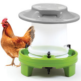 Simplay3 durable plastic chicken feeder with roof
