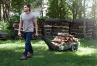 Simplay3 Easy Haul Flat Bed Cart is convenient for hauling firewood.