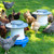 chickens using the Simplay3 American Home Farmstead Chicken Drinker and Feeder