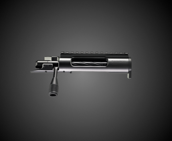 Technical Guide: Pristine Bolt Disassembly / Bolt Head Swap - Full Video