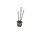 NPN Bipolar Junction Transistor (Small Signal 2N4393)
