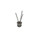 2N3250A Metal Can Transistor