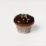 Mini Chocolate Cupcake (Dozen)