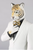 Tiger Man Figurine  01009429