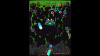 Project Neon for the Neo Geo AES (Standard Edition)