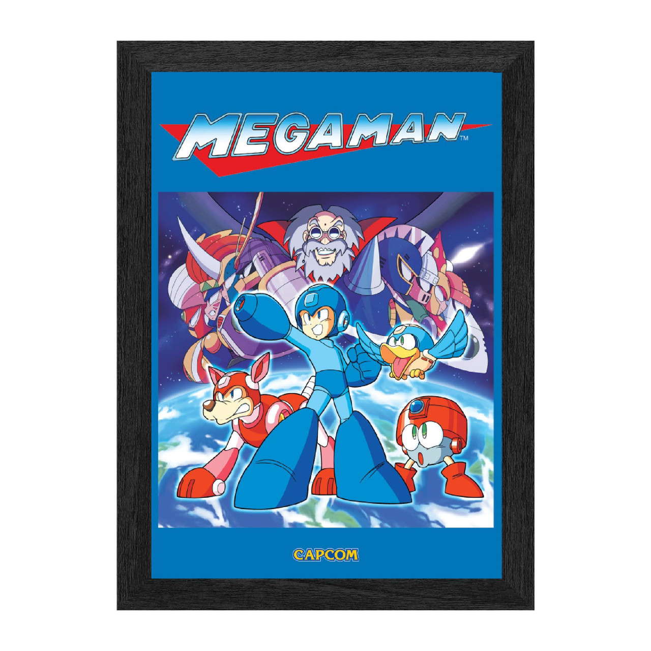 Mega Man 6 Mega Man 6