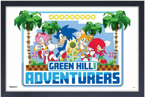Sonic the Hedgehog - Green Hill Adventures - Framed Gel Coated Poster