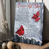 Cardinal Bird, I Never Left You I Watch You Every Day I Am Always Very Near I Know Deep In Your Heart Poster and Canvas