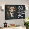 Lion Canvas - Be Still And Know That I Am God Canvas Wall Art - Bible Verse Canvas - Scripture Canvas Wall Art - Ciaocustom