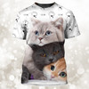 FUNSTUFFPRINT 3D Full Printed Cat On Tshirt, Cat Shirt, Shirt For Cat Lovers 3D T-shirt