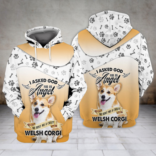 FUNSTUFFPRINT  Welsh Corgi I Asked God - 3D Full Print  3D Hoodie and Zip Hoodie