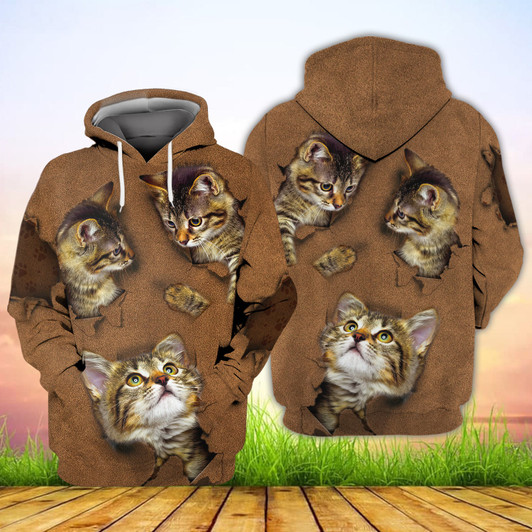 FUNSTUFFPRINT  Cat Brown - 3D Full Print     3D Hoodie and Zip Hoodie