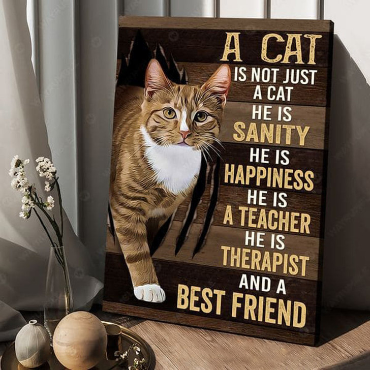 Cat Lover, A Cat Is Not Just A Cat He Is Sanity He Is Happiness He Is A Teacher He Is Therapist And A Best Friend, Cat Poster Poster and Canvas