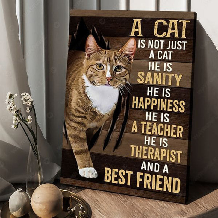 A Cat Is Not Just A Cat He Is Sanity He Is Happiness He Is A Teacher He Is Therapist And A Best Friend Poster and Canvas