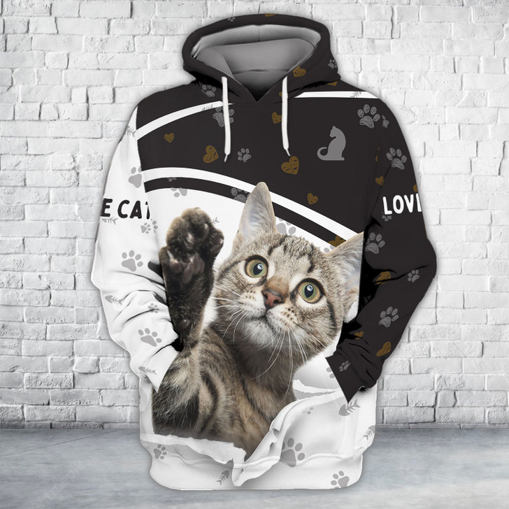 FUNSTUFFPRINT  Cat  Full Print Shirts Cats Shirt  3D Hoodie and Zip Hoodie